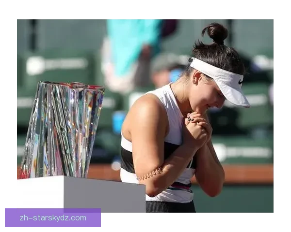 安德莱斯库五连胜挑战赛夺冠